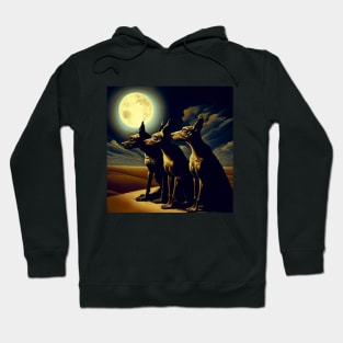 Three Dog Night Hoodie